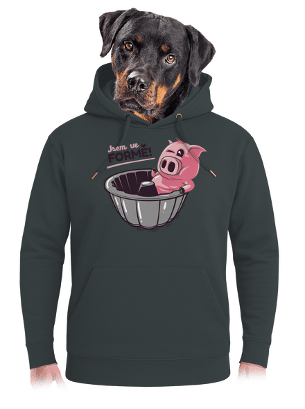 Ve formě unisex mikina premium Charcoal