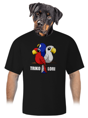 unisex tričko oversized