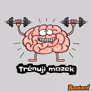 Trénuji mozek