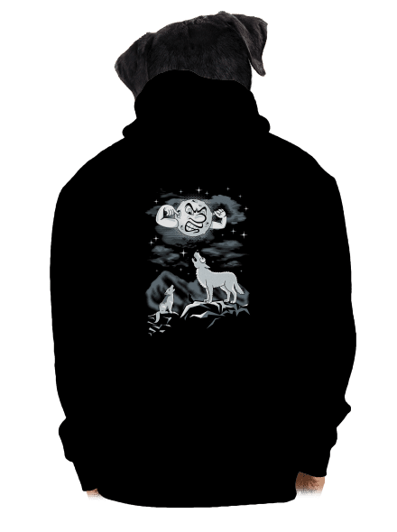 Vlčí árie pánská mikina na zip Black