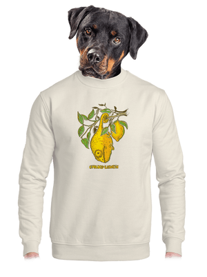 unisex mikina bez kapuce