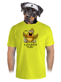 pánské sportovní tričko