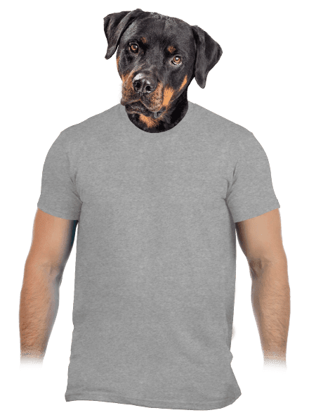 Bez potisku pánské tričko Sport Grey