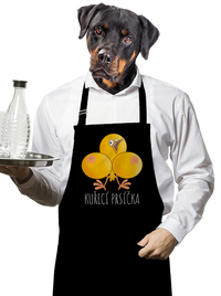 zástěra