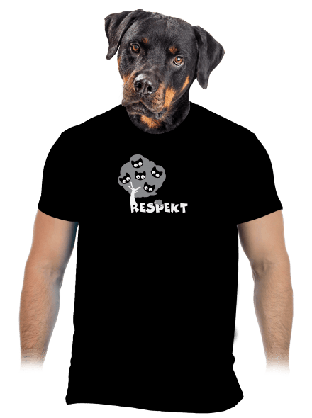 Respekt pánské tričko Black