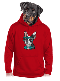 pánská mikina klokanka