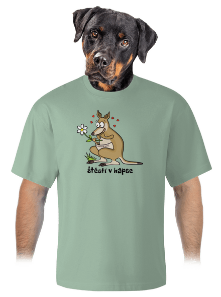 Štěstí v kapse unisex tričko oversized Sage