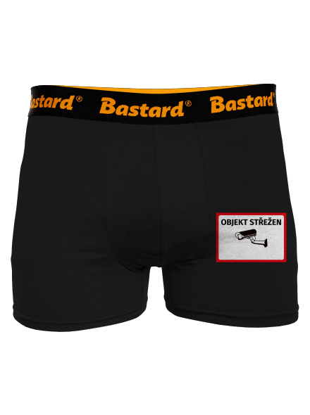 Objekt střežen boxerky Black