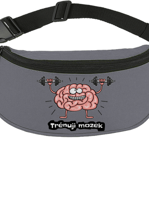 Trénuji mozek ledvinka Graphite