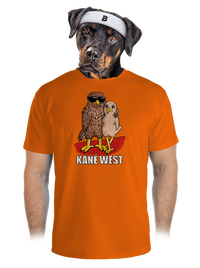 pánské sportovní tričko