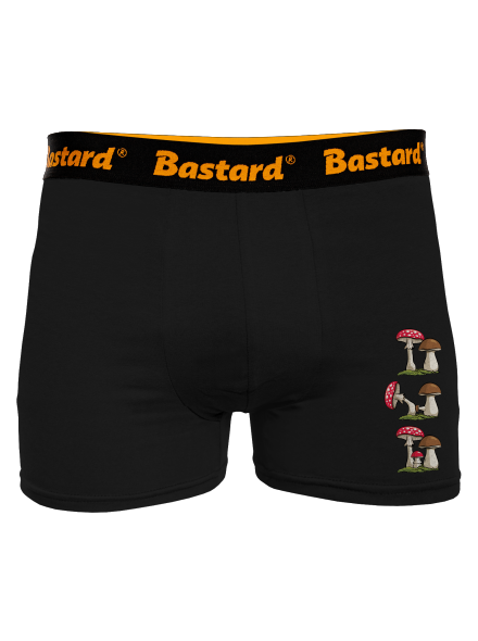 Z houbařské kroniky boxerky Black