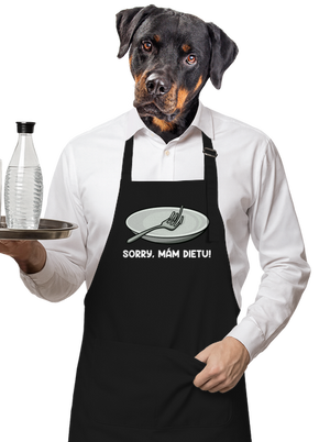 zástěra