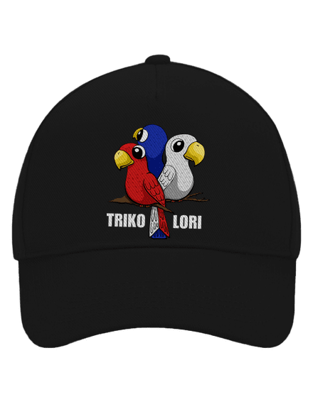 Trikolori kšiltovka baseballka Black