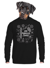 unisex mikina bez kapuce