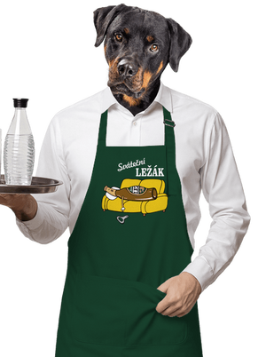 zástěra
