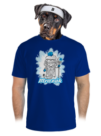 pánské sportovní tričko