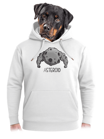 Asteroid unisex mikina premium Snowwhite