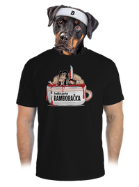 pánské sportovní tričko