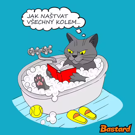 Jak všechny naštvat