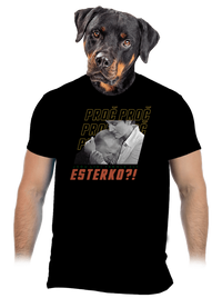 pánské tričko
