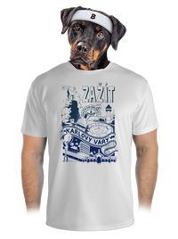 pánské sportovní tričko