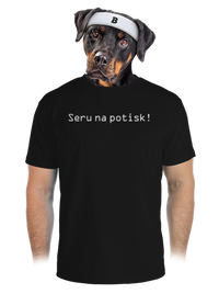 pánské sportovní tričko