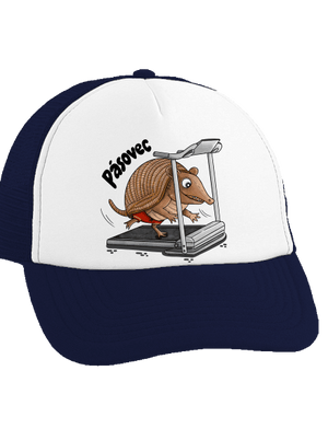 Pásovec kšiltovka truckerka French Navy cap