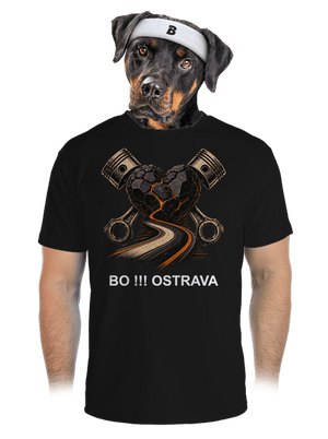 pánské sportovní tričko