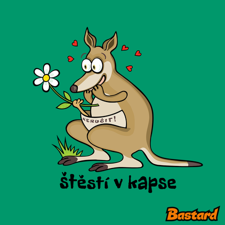 Štěstí v kapse