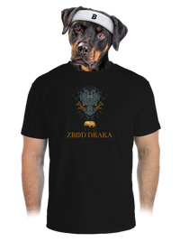pánské sportovní tričko