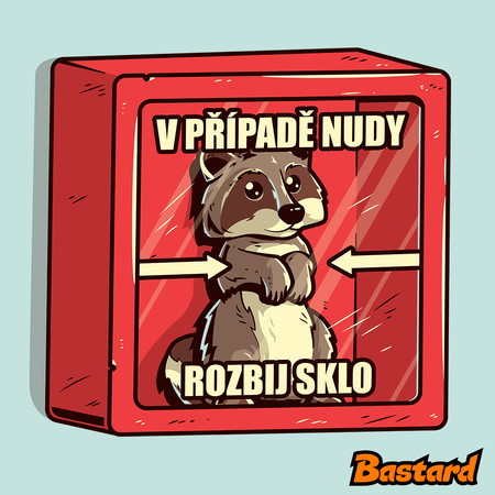 Medvídek mýval