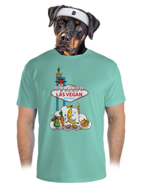 pánské sportovní tričko