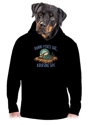 Ranní ptáče spí pánská mikina klokanka Black