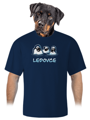 Ledovce unisex tričko oversized Midnight Blue