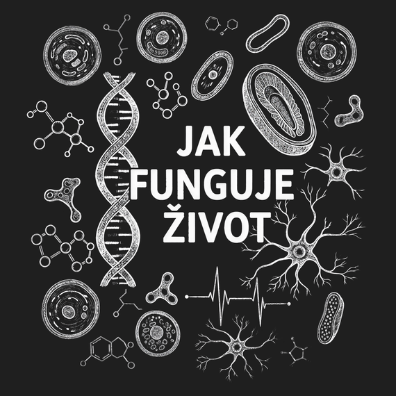 Jak funguje život