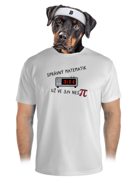Matematik nespí pánské sportovní tričko White