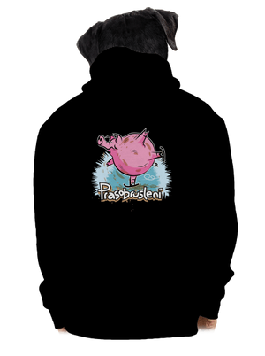 pánská mikina na zip