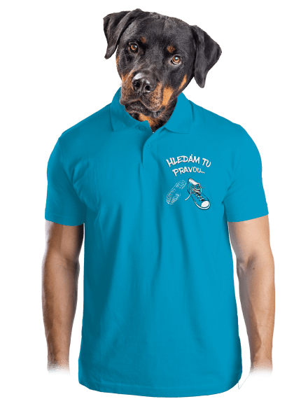 Hledám tu pravou pánská polokošile Blue Atol