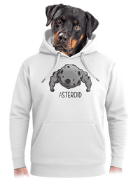 unisex mikina premium