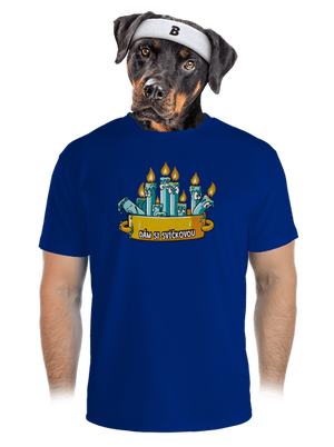 pánské sportovní tričko