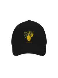 kšiltovka baseballka