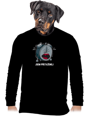 pánské dlouhý rukáv