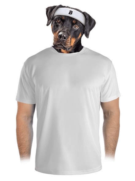 Bez potisku pánské sportovní tričko White