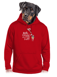 pánská mikina klokanka