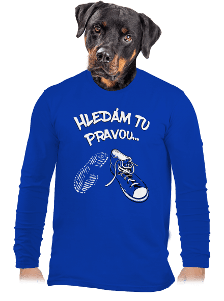 Hledám tu pravou pánské dlouhý rukáv Royal Blue