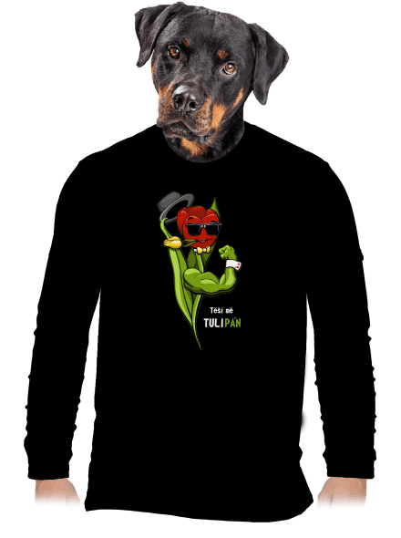 Sněženka a Tulipán pánské dlouhý rukáv Black