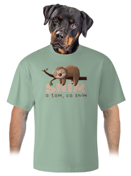 Sním o tom, co sním unisex tričko oversized Sage
