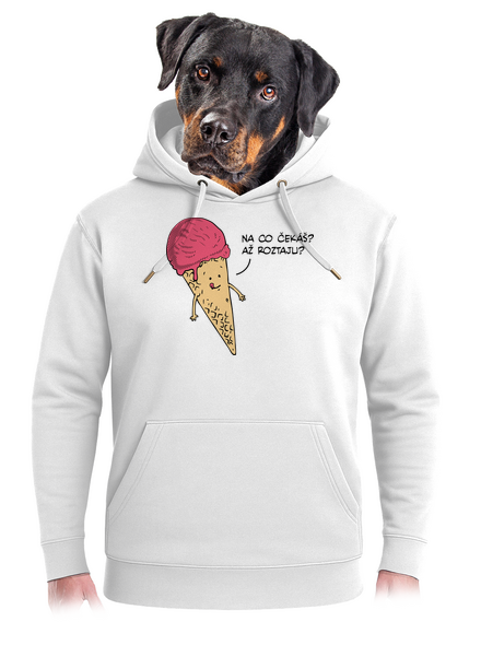 Zmrzlina unisex mikina premium Snowwhite