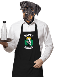 zástěra