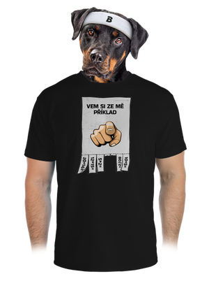 pánské sportovní tričko